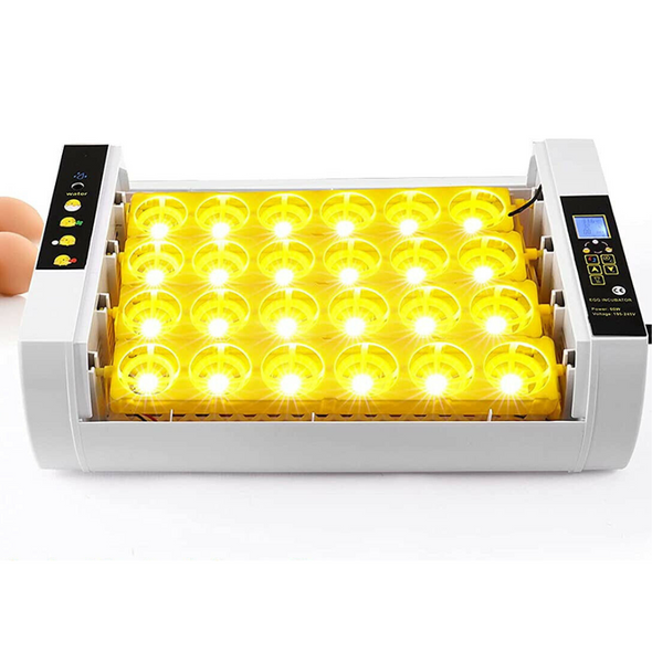 Digital 24 Slot Chicken & Quail Egg Incubator with Automatic Turner