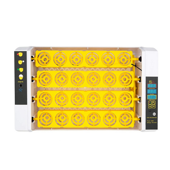 Digital 24 Slot Chicken & Quail Egg Incubator with Automatic Turner