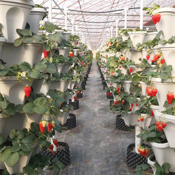 Stand Stacking Planters for Strawberries, Herbs, and Flowers