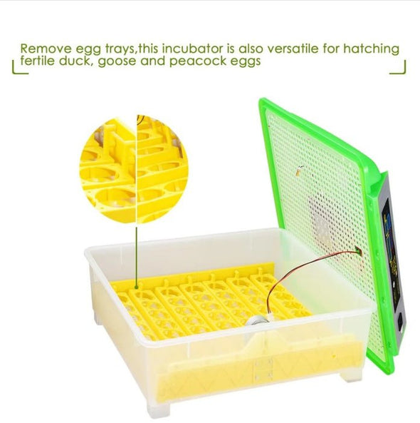 48 Egg Hatcher with LED Control, Automatic Turning & Quiet Operation - Aroflit