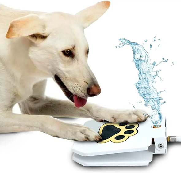 Step-On Dog Water Fountain, Interactive & Leak-Proof Hydration