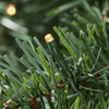 7.5 ft. Pre - Lit LED Brookside Pine Artificial Christmas Tree with Lights - Aroflit