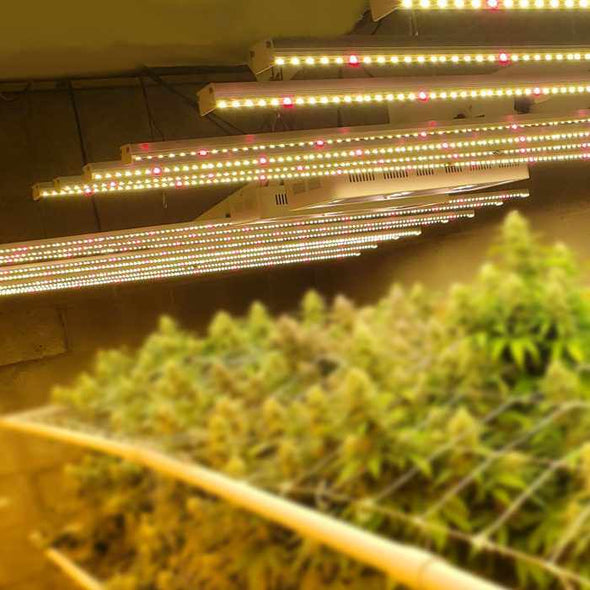 800w Full Spectrum LED Grow Light - Aroflit