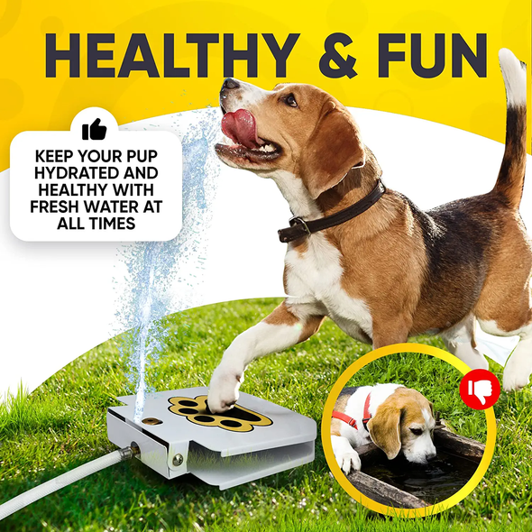 Step-On Dog Water Fountain, Interactive & Leak-Proof Hydration
