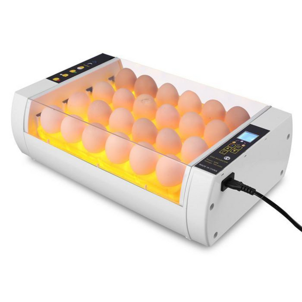 Digital 24 Slot Chicken & Quail Egg Incubator with Automatic Turner