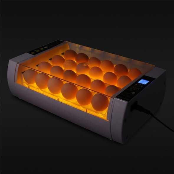 Digital 24 Slot Chicken & Quail Egg Incubator with Automatic Turner
