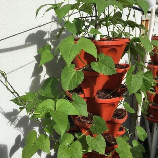 Stand Stacking Planters for Strawberries, Herbs, and Flowers