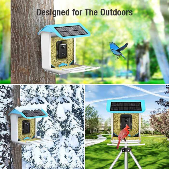 AI-Powered WIFI Smart Bird Feeder Camera