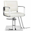 All Purpose Hair Barber Salon Styling Hydraulic Chair-Aroflit