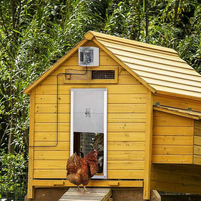 Automatic Chicken Run Coop Door-Aroflit