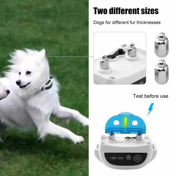 DogGuard™ Wireless Electric Dog Fence System Pet Exercise Training Collar