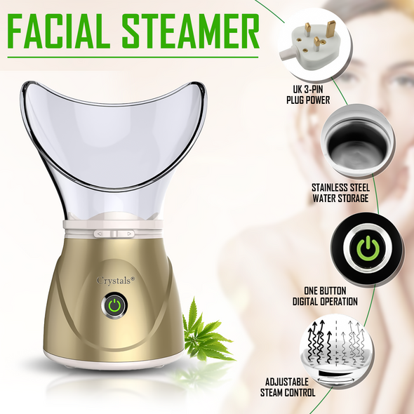 Face Spa Facial Steamer Skin Beauty Clean Sauna Mist