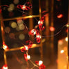 LED Outdoor Christmas Fairy String Lights-Aroflit