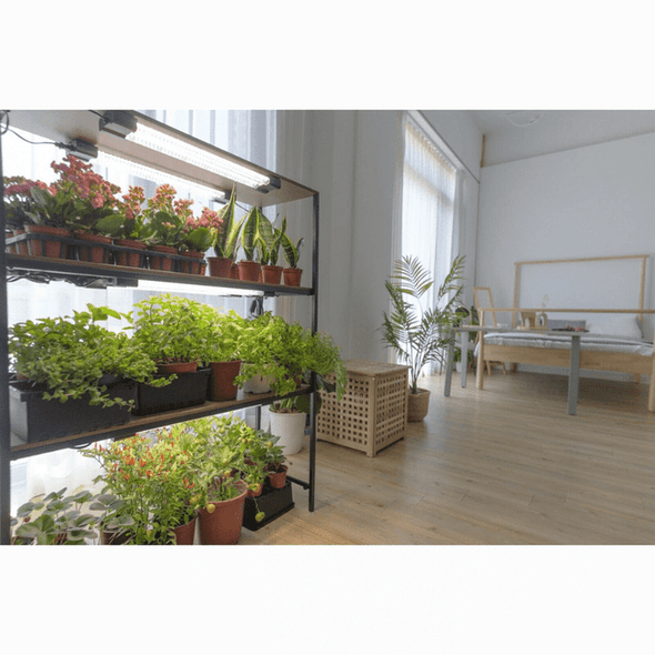 LED Plants Flowering Full Spectrum Hydroponic Grow Lights-Aroflit