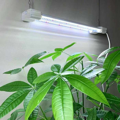 LED Plants Flowering Full Spectrum Hydroponic Grow Lights-Aroflit