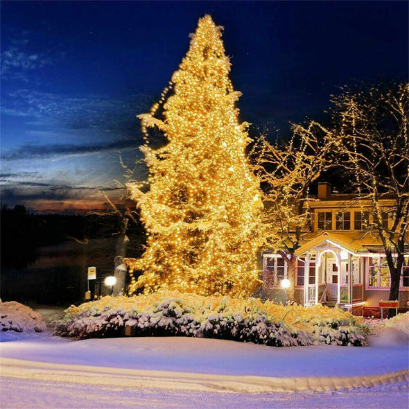 Lightly™ 500 LED Christmas Tree Lights