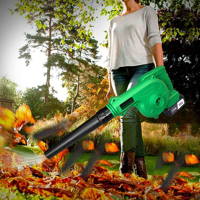 Powerful 2-in-1 Cordless Leaf Blower & Vacuum, Rechargeable