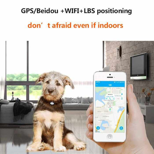 Pet Locator with GPS Dog Finder ( 30m Precision ) – GPS/WiFi/LBS – For Puppy