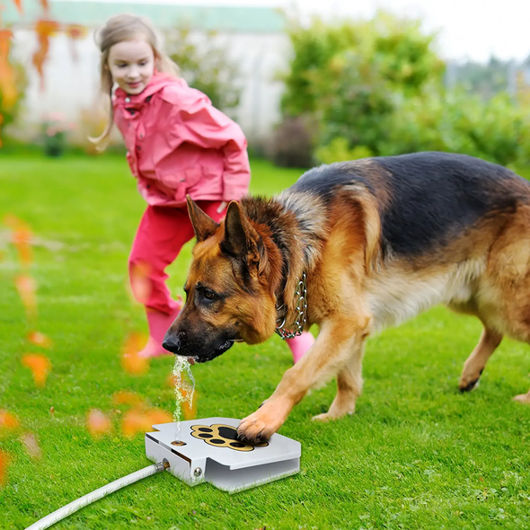 Step-On Dog Water Fountain, Interactive & Leak-Proof Hydration