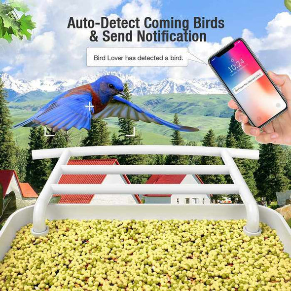 AI - Powered WIFI Smart Bird Feeder Camera - Aroflit