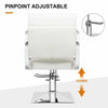 All Purpose Hair Barber Salon Styling Hydraulic Chair - Aroflit