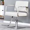 All Purpose Hair Barber Salon Styling Hydraulic Chair - Aroflit