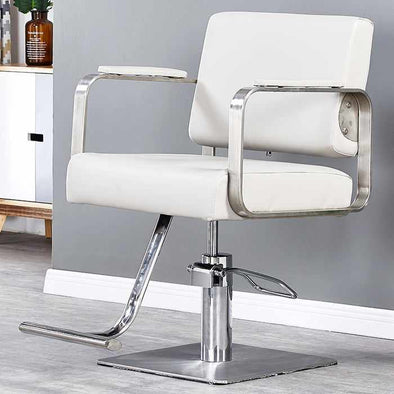 All Purpose Hair Barber Salon Styling Hydraulic Chair - Aroflit