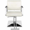 All Purpose Hair Barber Salon Styling Hydraulic Chair - Aroflit