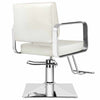 All Purpose Hair Barber Salon Styling Hydraulic Chair - Aroflit