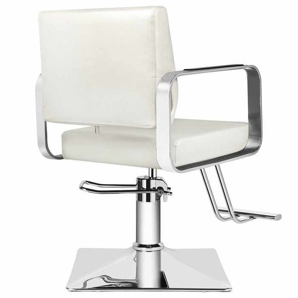 All Purpose Hair Barber Salon Styling Hydraulic Chair - Aroflit