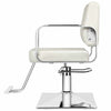 All Purpose Hair Barber Salon Styling Hydraulic Chair - Aroflit