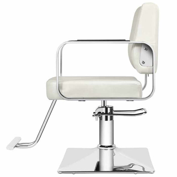 All Purpose Hair Barber Salon Styling Hydraulic Chair - Aroflit