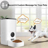 Automatic & Smart Pet Feeder Smart - Aroflit