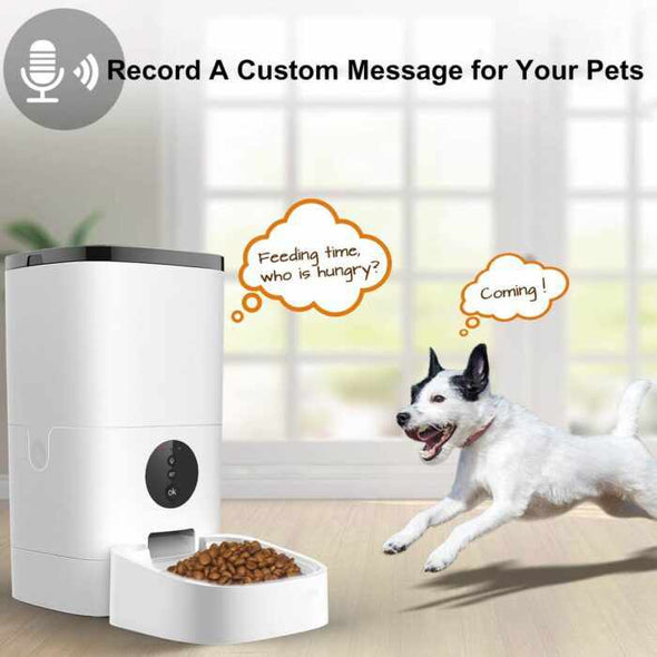 Automatic & Smart Pet Feeder Smart - Aroflit