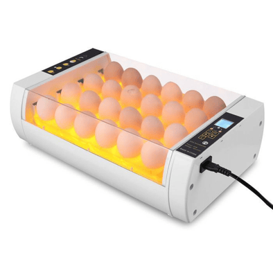 Digital 24 Slot Chicken & Quail Egg Incubator with Automatic Turner - Aroflit