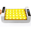 Digital 24 Slot Chicken & Quail Egg Incubator with Automatic Turner - Aroflit