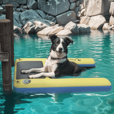 Dog Pool Float Boat Ramp, Inflatable Swimming Entry/Exit for Pets - Aroflit