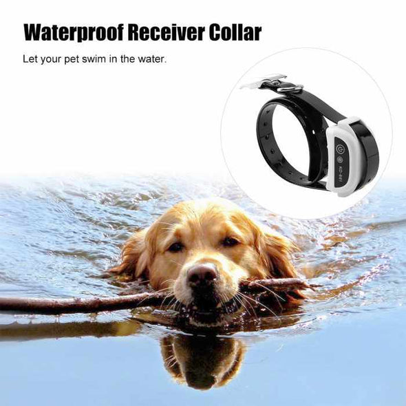 DogGuard™ Wireless Electric Dog Fence System Pet Exercise Training Collar - Aroflit
