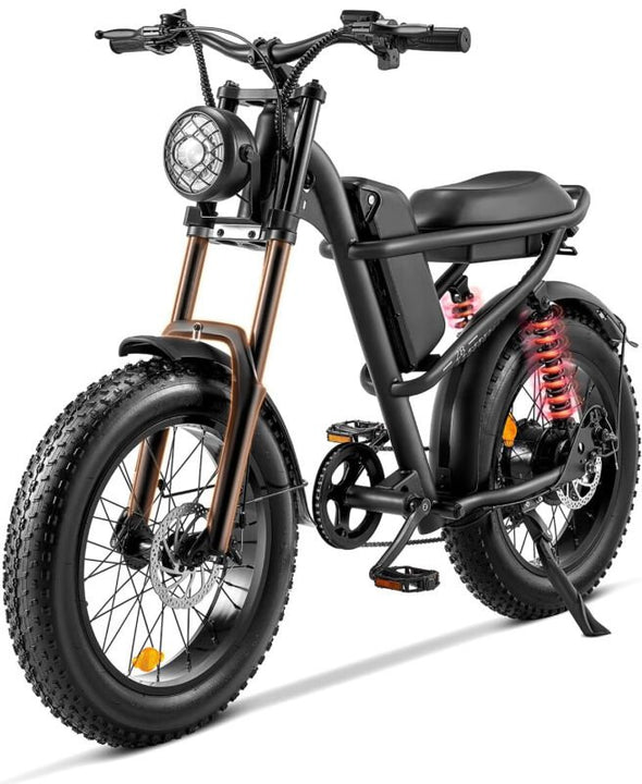 Electric Bike 1000W E - Bike 48V 15.6Ah Fat Tire 20" Mountain Bicycle - Aroflit