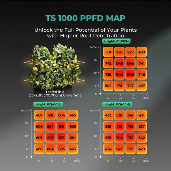 Full Spectrum LED Grow Lights for Indoor Plants, Energy Efficient - Aroflit