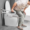 Handicap ﻿Toilet Safety Assist Grab Rails Bars Frame - Aroflit
