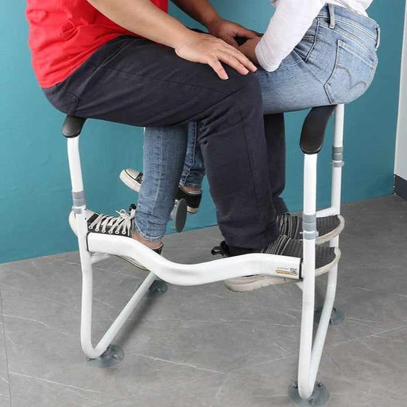 Handicap Toilet Safety Grab Bar Assist Frame Rails - Aroflit