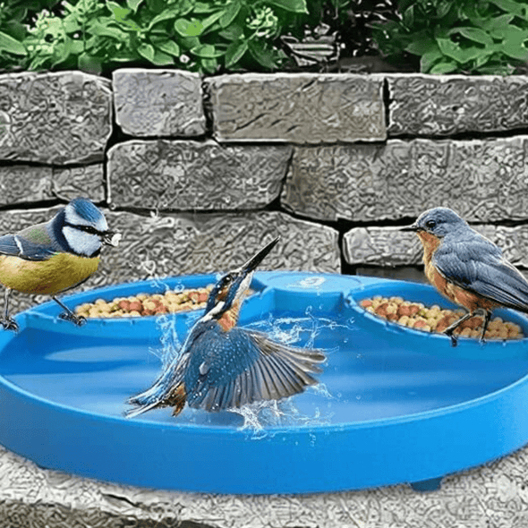 Heated Winter Garden Bird Bath for Hummingbirds, Feeding & Bathing - Aroflit