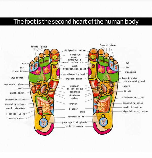 Home EMS Foot Leg Massager For Circulation - Aroflit