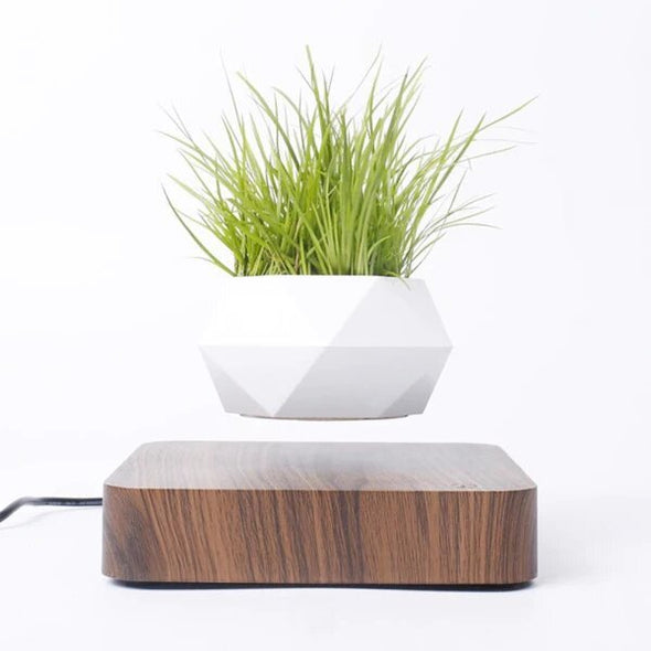 Magnetic Levitating Plant Pot for Bonsai & Real/Fake Plants, Floating - Aroflit