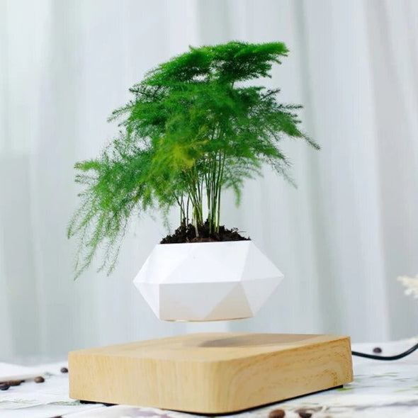 Magnetic Levitating Plant Pot for Bonsai & Real/Fake Plants, Floating - Aroflit