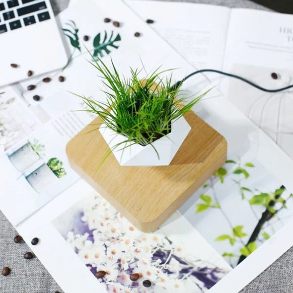 Magnetic Levitating Plant Pot for Bonsai & Real/Fake Plants, Floating - Aroflit