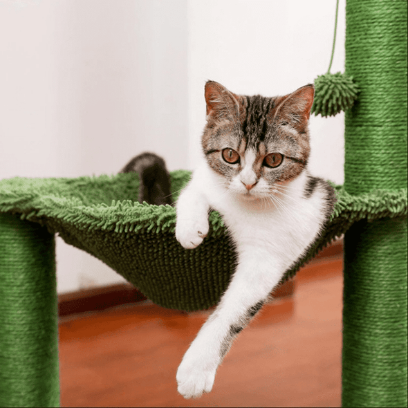 Modern Cat Tree Tower Condo Furniture Stand - Aroflit