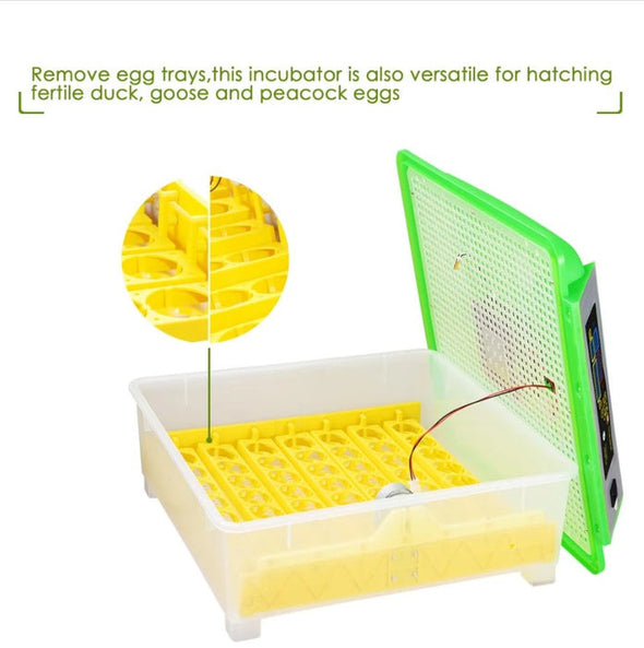 48 Egg Hatcher with LED Control, Automatic Turning & Quiet Operation