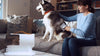 Pet Grooming Vacuum Cleaner, Quiet, Powerful 12000PA Suction - Aroflit